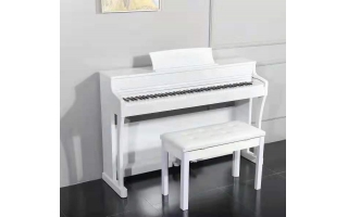 愛樂絲Alecy A-891電子琴