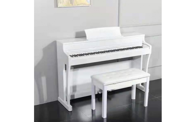 愛樂絲Alecy A-891電子琴